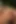 Seksi fahişe Alma Banks Mike Angelo'dan Frank'e büyük yaraklara tavşan gibi atlıyor