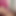Veronica Rossi Official - Her Nudity Is a Reality of Voluptuousness
