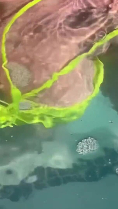 Artemisia Love flashing her juicy big tits underwater Public pool fetish FULL OF | Clip 1