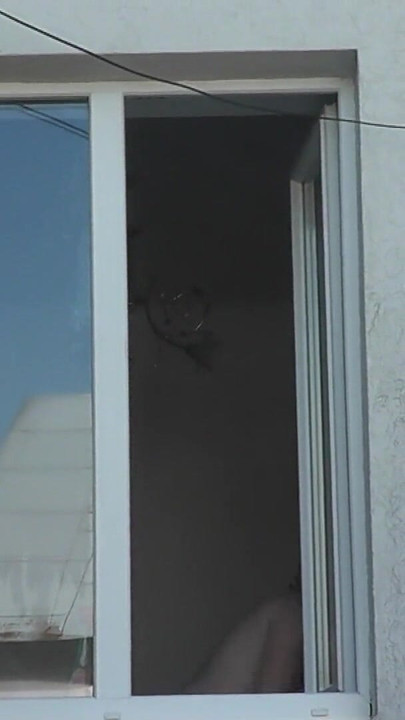 Must-see moment from "Neighbor taxi driver from looks at neighbor MILF who washes window of apartment naked. Nude in public"