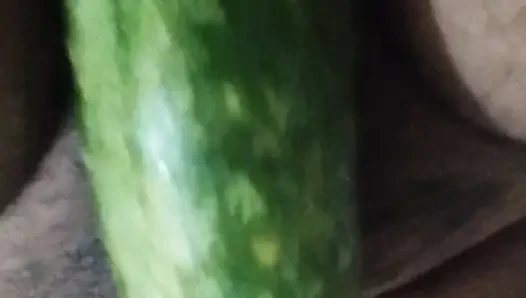 Busty bitch playing with herself and fucking herself with a cucumber