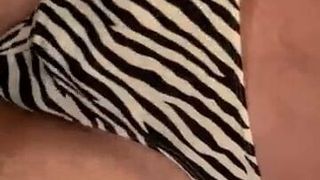 Stroking cock in GF Zebra Panty