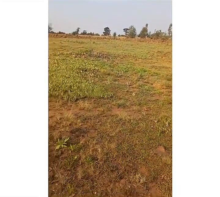 Was Trying to Find a Right Spot in the Forest to Wet and Stroke My Bcc Outdoors