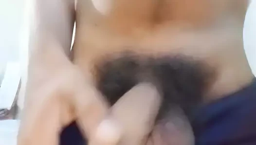 Yetişkin filmleri