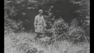 两个女人分享一根鸡巴 - 1910