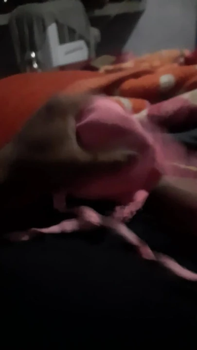 masturbates