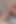 誰もが搾乳の時間が大好きです!パート5