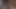 ベイプか吸うか?