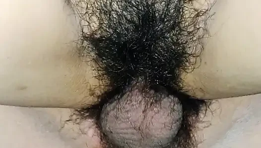 Pulen!! Uzun zamandır dul bir aygır anne