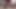 MY GIRLFRIEND HAS A NICE BLACK COCK. OMG! I LOVE SUCKING IT.