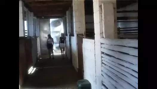 Cewek sange ini didobel penetrasi di peternakan sampai dicrot di mulut