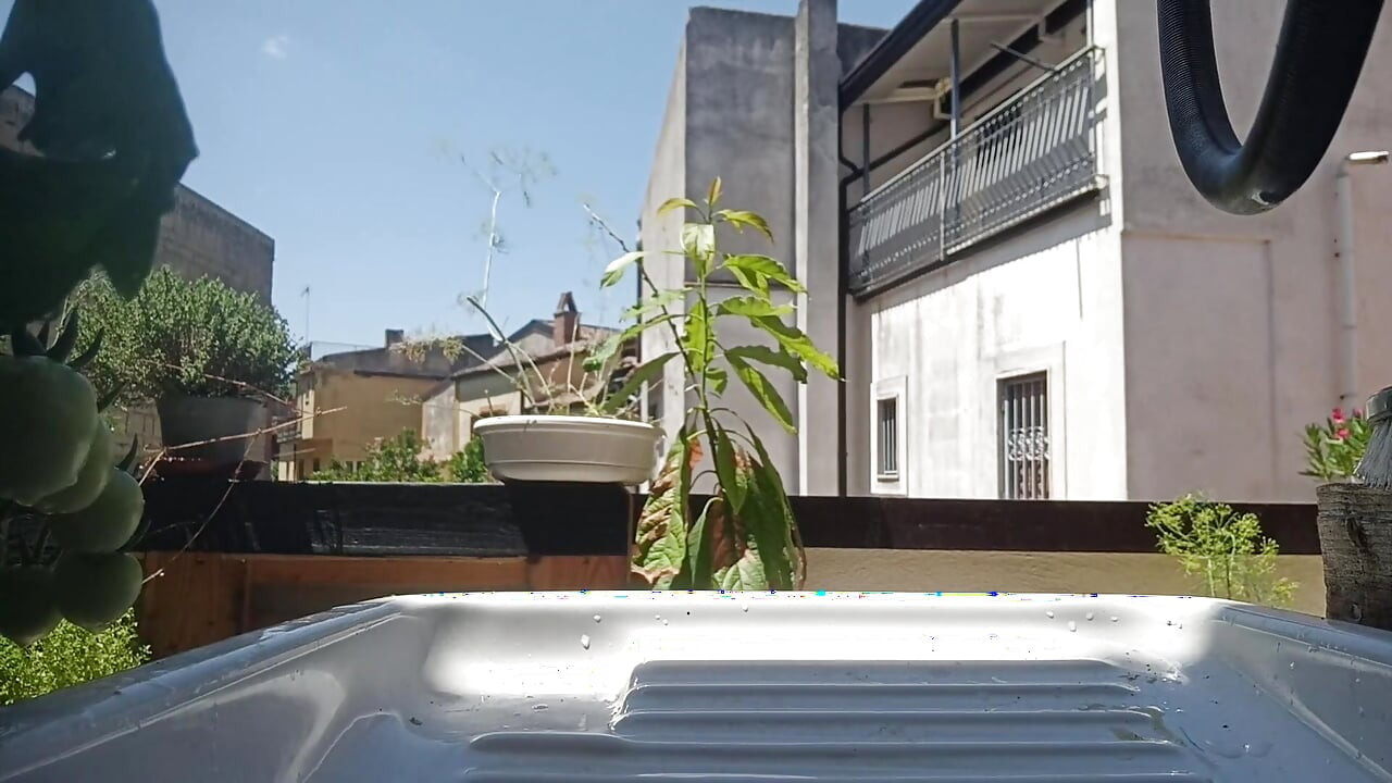 Outdoor Summer Pee