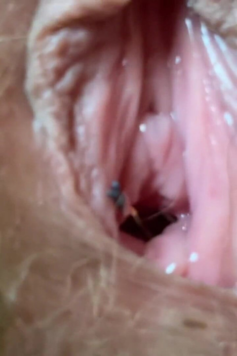 Giantess fetish video hairy vagina extreme closeup