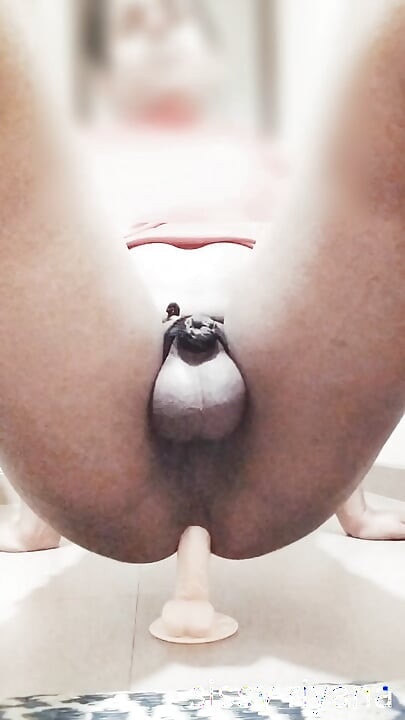 Transica s malim kurcem Riana Bich dobiva jebanje u guzu dildom