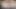 MILF Wife Squirting and Anal During Livestream!