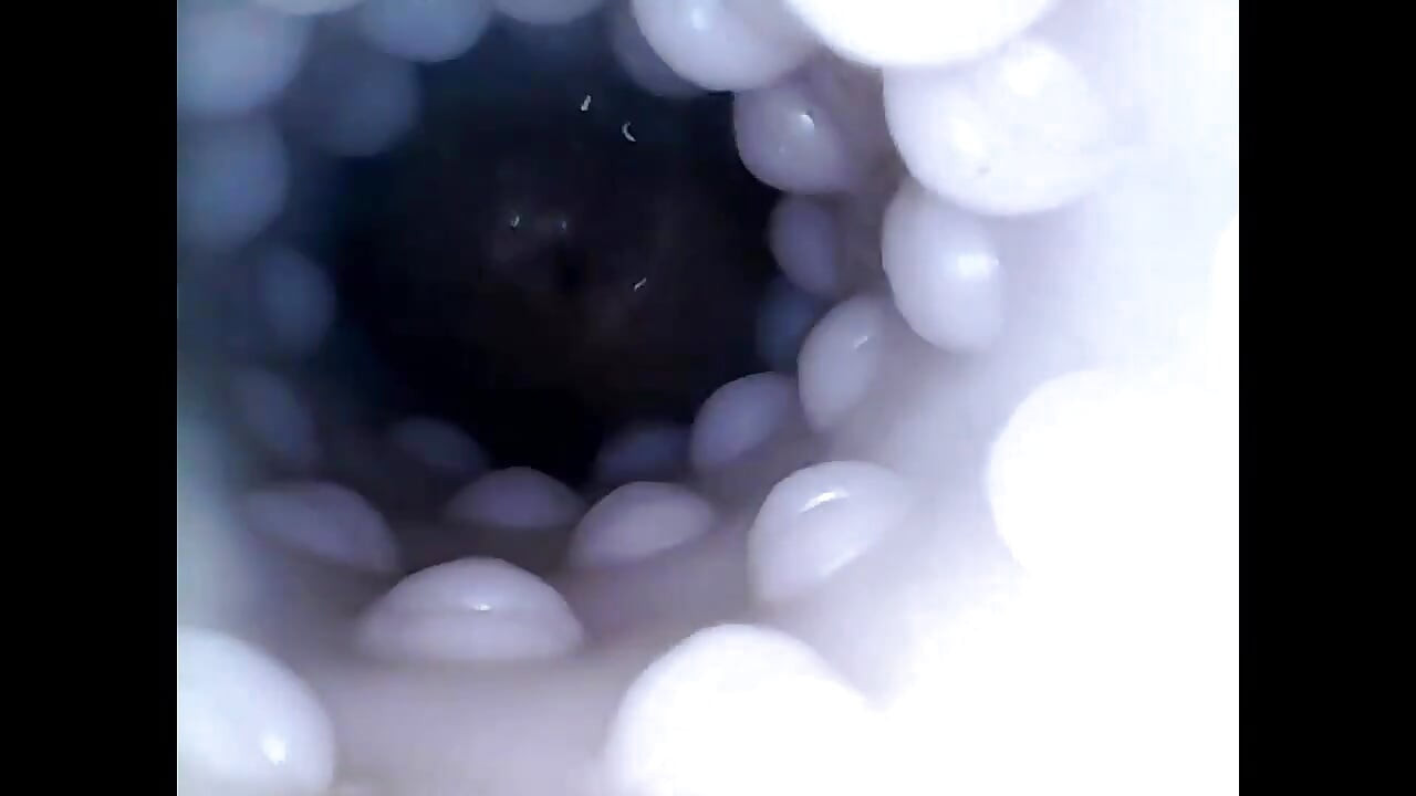 Internal closeup fucktoy