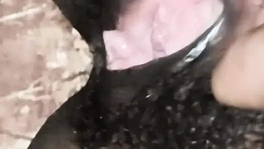 Gadis India ngentot memek rambut komal