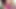 21Sextreme, My Ass Got Rimmed To Hell By Dirty Sugar GILF