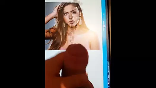 Shani75016 haraç#36