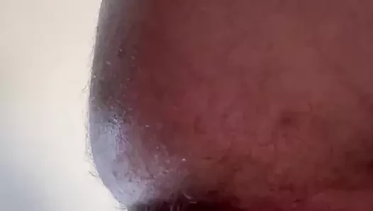 gay KEDİ delik göz kırpıyor