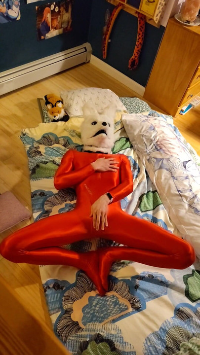 Zapanjujući trenutak iz filma "Fox Furry se igra u crvenom amoresy spandex odijelu"