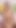 allnymphos.com x amalia davis fragman | Klip 1