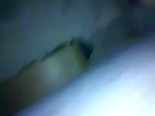 jaguatirica selvagem