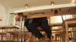 Pratinjau video