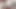 Harry_jen  Jerking off a Friend's Dick and He Cums