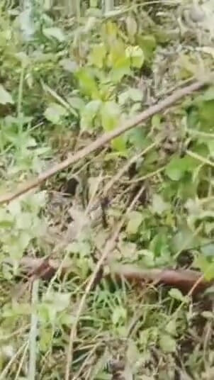 Kahit saan abutin ng libog go talaga. | Clip 1