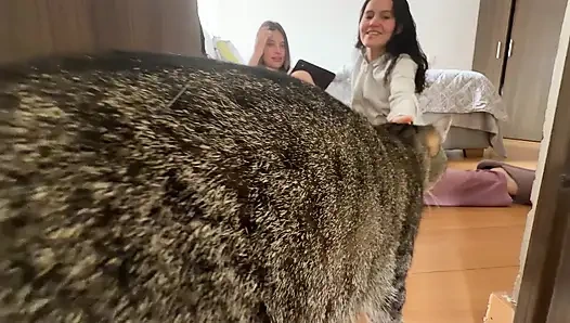 Сексуальная поэзия заканчивается жёстким сексом между соседями по комнате