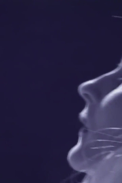 Slutty blonde wife gets her ass spread in double penetration by her husband's friend