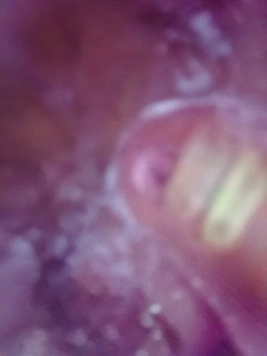 Wet ass pussy