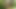 ScoutBoys Sexy hung DILF Tyler Saint barebacks hot Scoutboy in woods