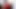 Nilimachowdhury red - blog asli gadis india suka bangla nyepong kontol habis-habisan sambil nyepong kontol di kamar hotel