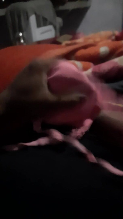 masturbates