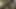 I Love Be Naked in the Forest and Masturbate