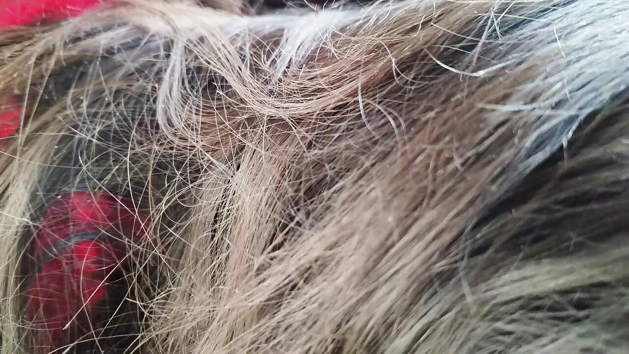 Iubită îi oferă o muie iubitului ei în mașină, sex în public