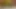 my big cumshot on a string