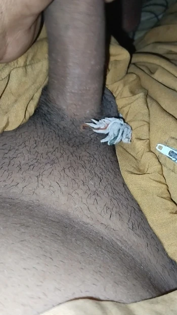 Zaheer bull dry mastubation on.bed