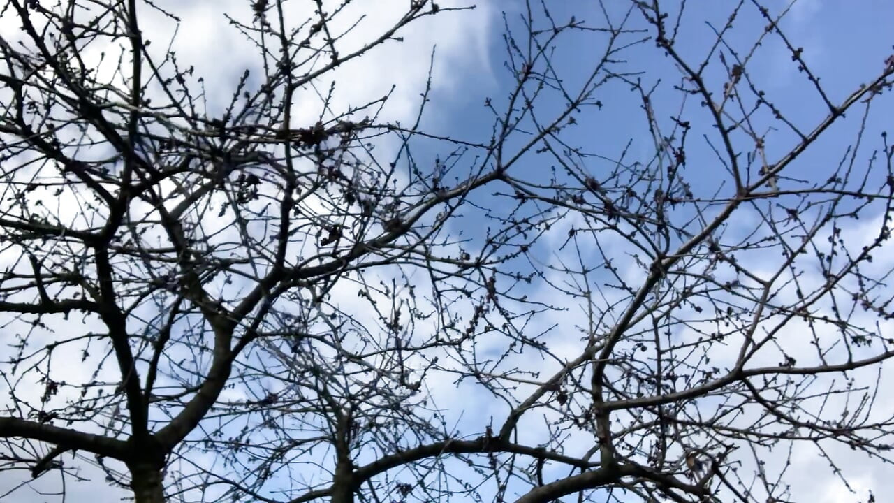 Perfekt dag för stora tuttar