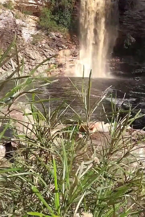 Follada Salvaje En El Bosque Con Nena Caliente