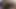 Sıkı kedi bbc
