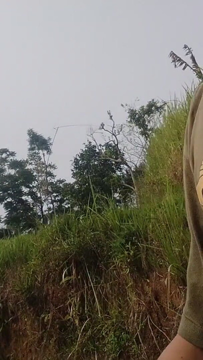 A young man's journey to the rice field where he is urinating again | Clip 1
