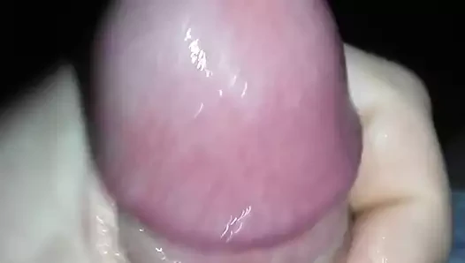 mojj kutas