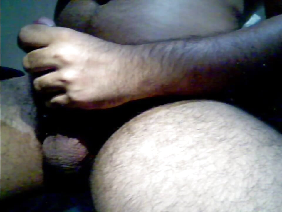 light jerking bear webcam