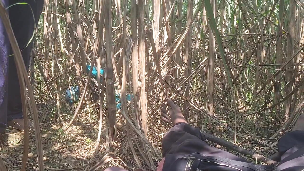 Horney lady like hard fuck with Long dick