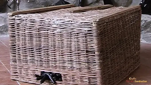 Naughty gal got herself trapped under a basket and disciplined in missionary