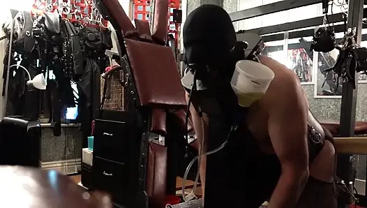 Male piss slave paddled with the cricket bat until he finishes his drink