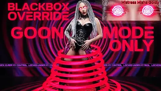Blackbox Cock: Aus der Ferne gehackt und mir gehörend.